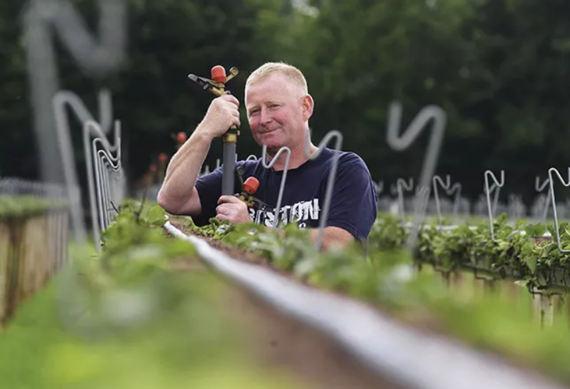 Watering the drops